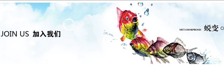 ӍW(wng)˾? ȴ㹲(chung)x